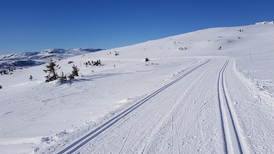 Skiing