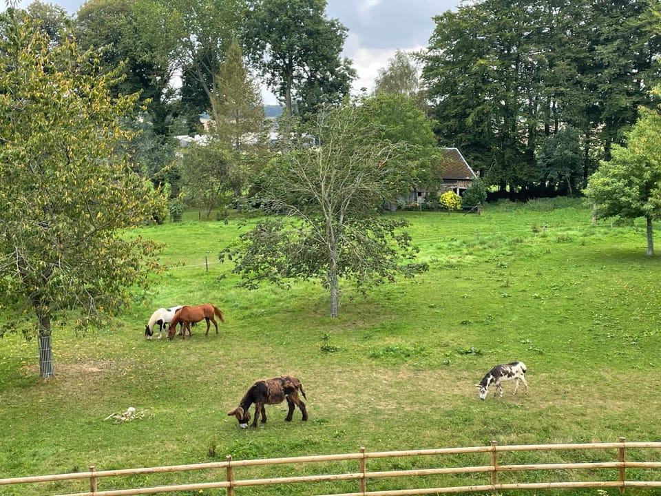 View (from property/room)