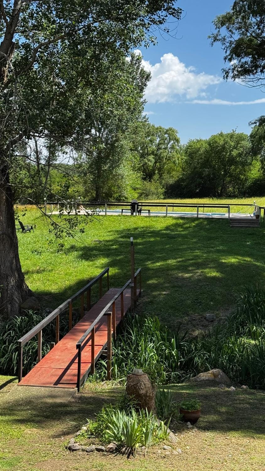Garden view