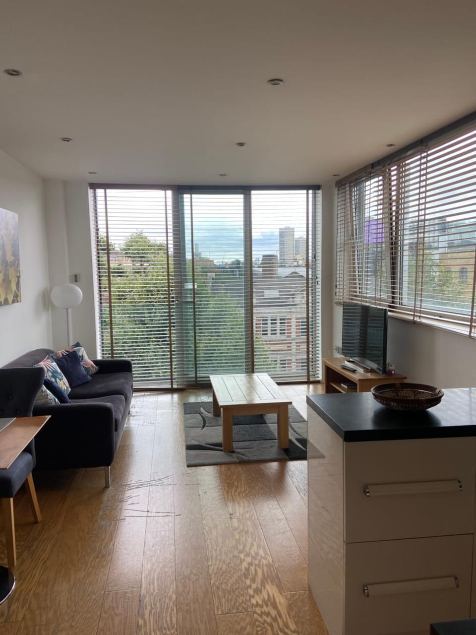 Central London Apartment Apartment in London Borough of Southwark