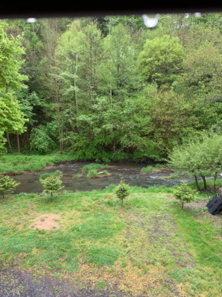 Spring, Day, Natural landscape, Garden, Garden view