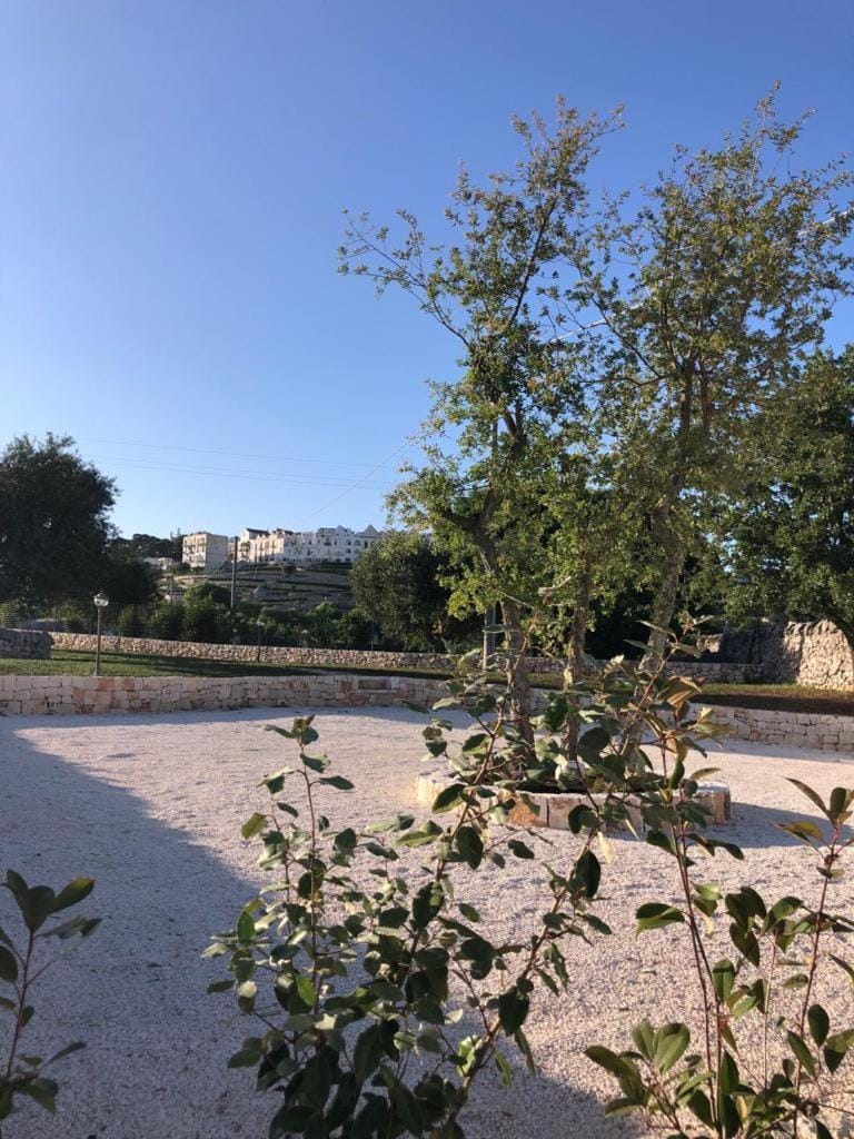 Natural landscape, Garden, Parking