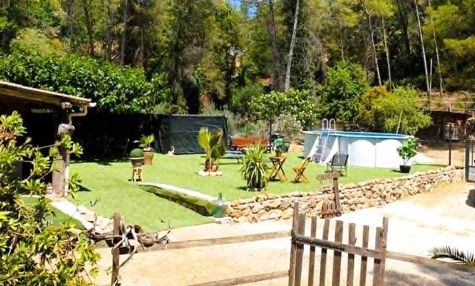 Garden, Garden view, Swimming pool, sunbed