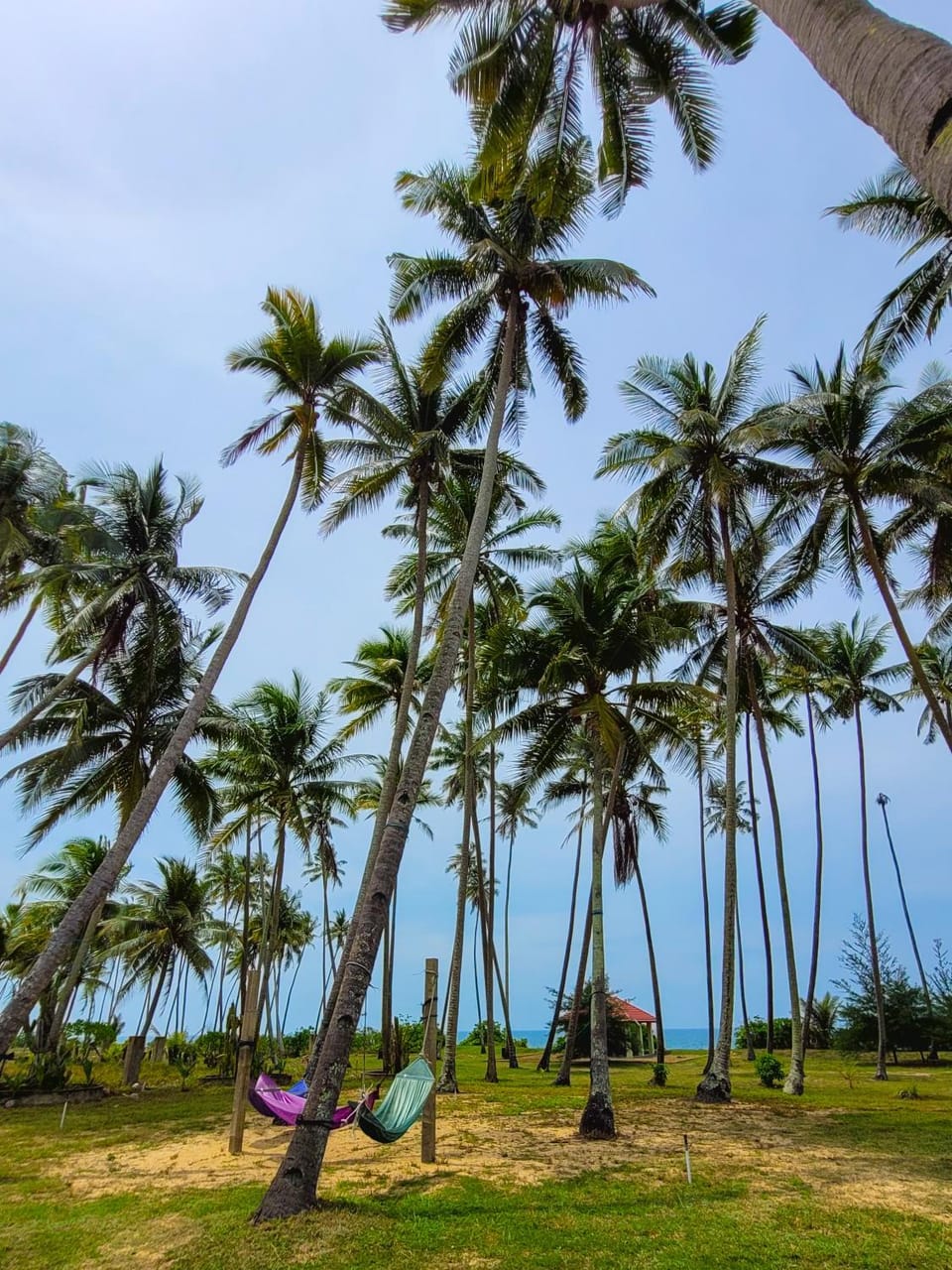 MILLBROOK HOUSE TERENGGANU Bed and Breakfast in Terengganu, Malaysia