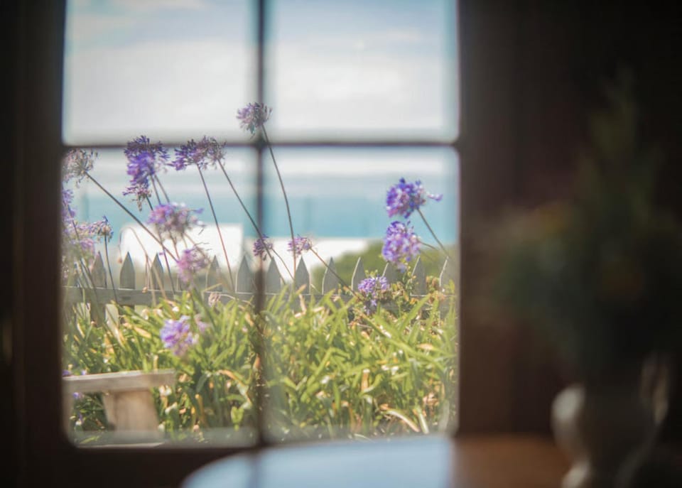 View (from property/room), Sea view