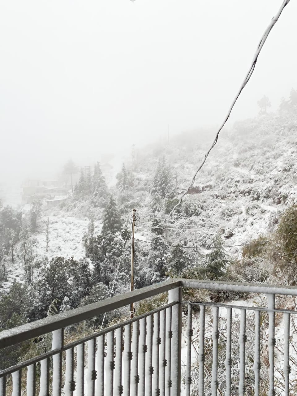 Windmill Inn Inn in Himachal Pradesh