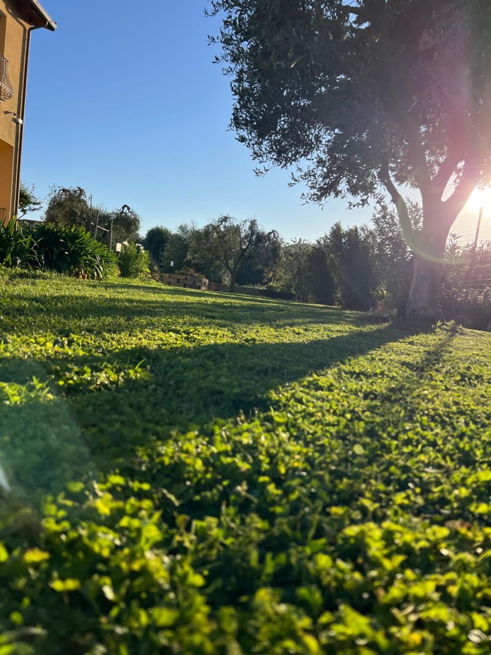 Agriturismo Il Giardino Degli Olivi Appartamenti Farm Stay in Castiglione della Pescaia