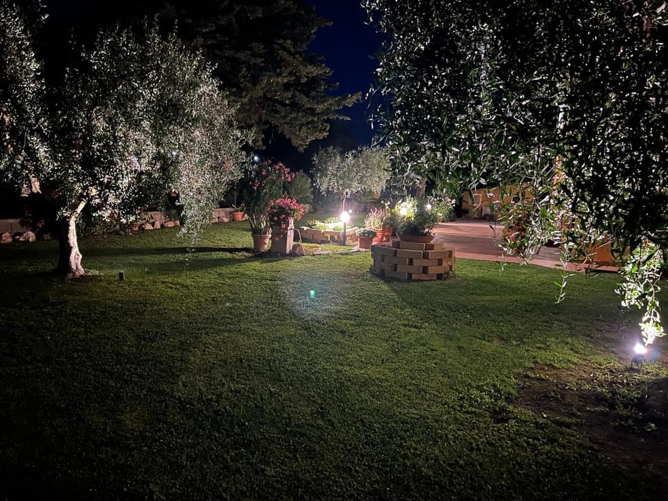 Night, Natural landscape, Garden, Garden view