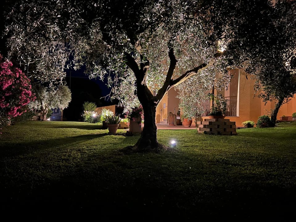 Spring, Night, Natural landscape, Garden, Garden view