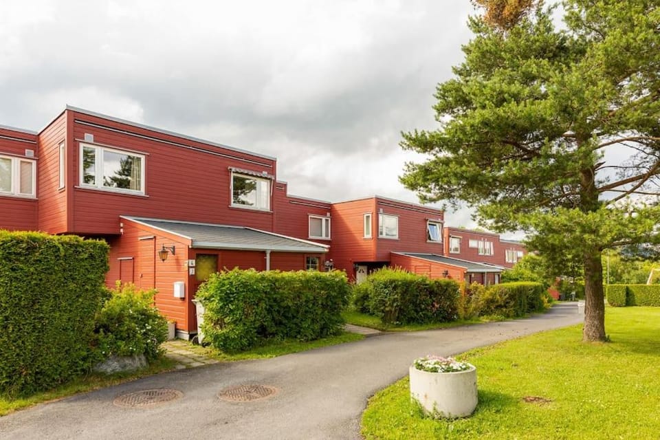 Oslo - Quiet and cosy home with cat and garden Apartment in Oslo