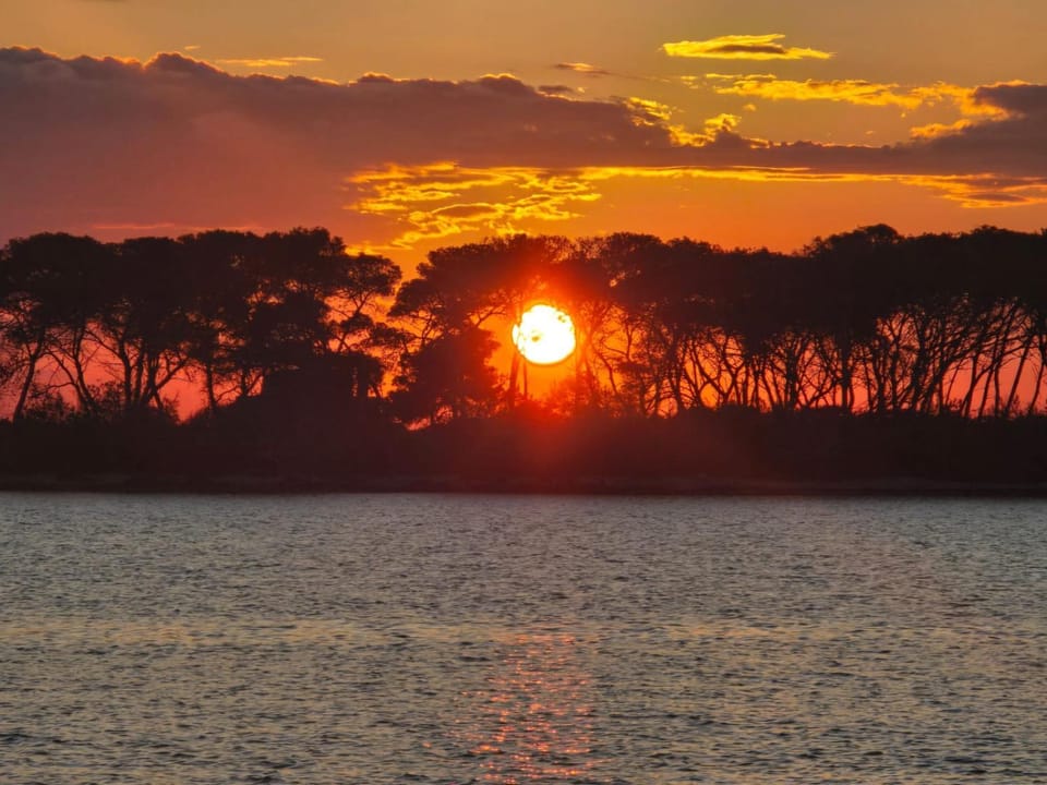 Natural landscape