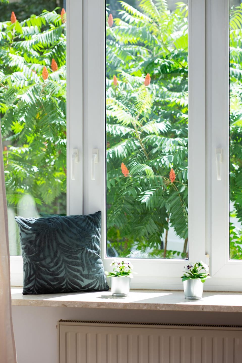 Garden view