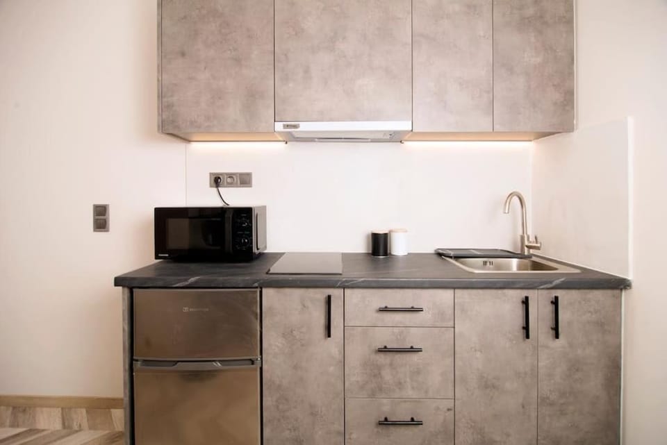 Kitchen or kitchenette, minibar, stove