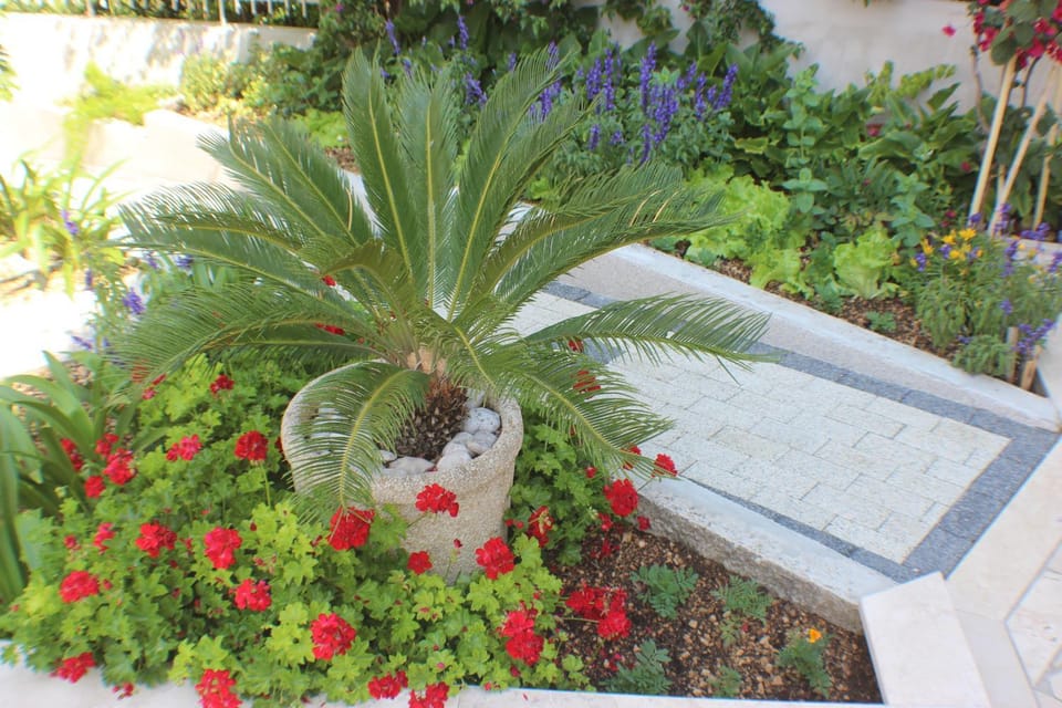 Garden, Decorative detail, Garden view