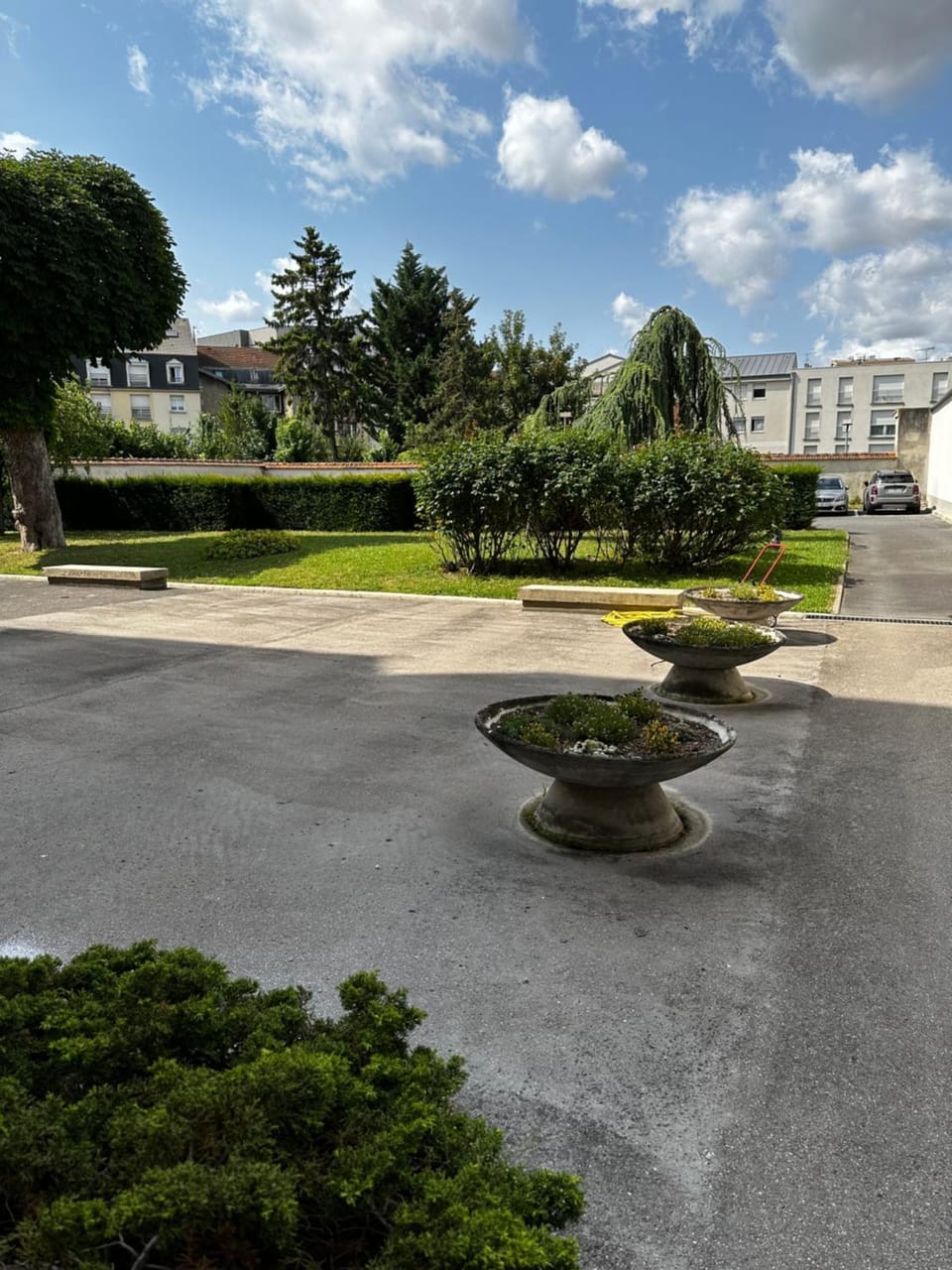 Garden view
