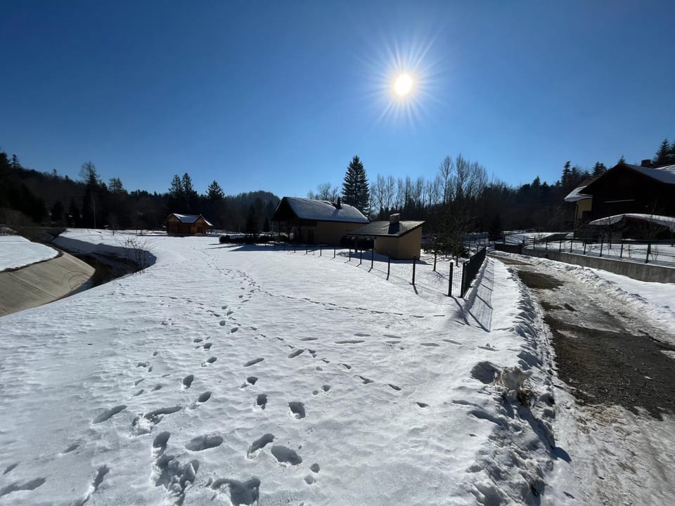 Day, Natural landscape, Winter