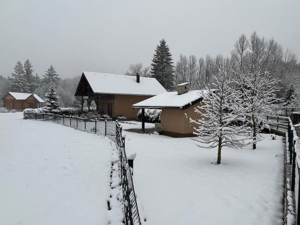 Property building, Winter