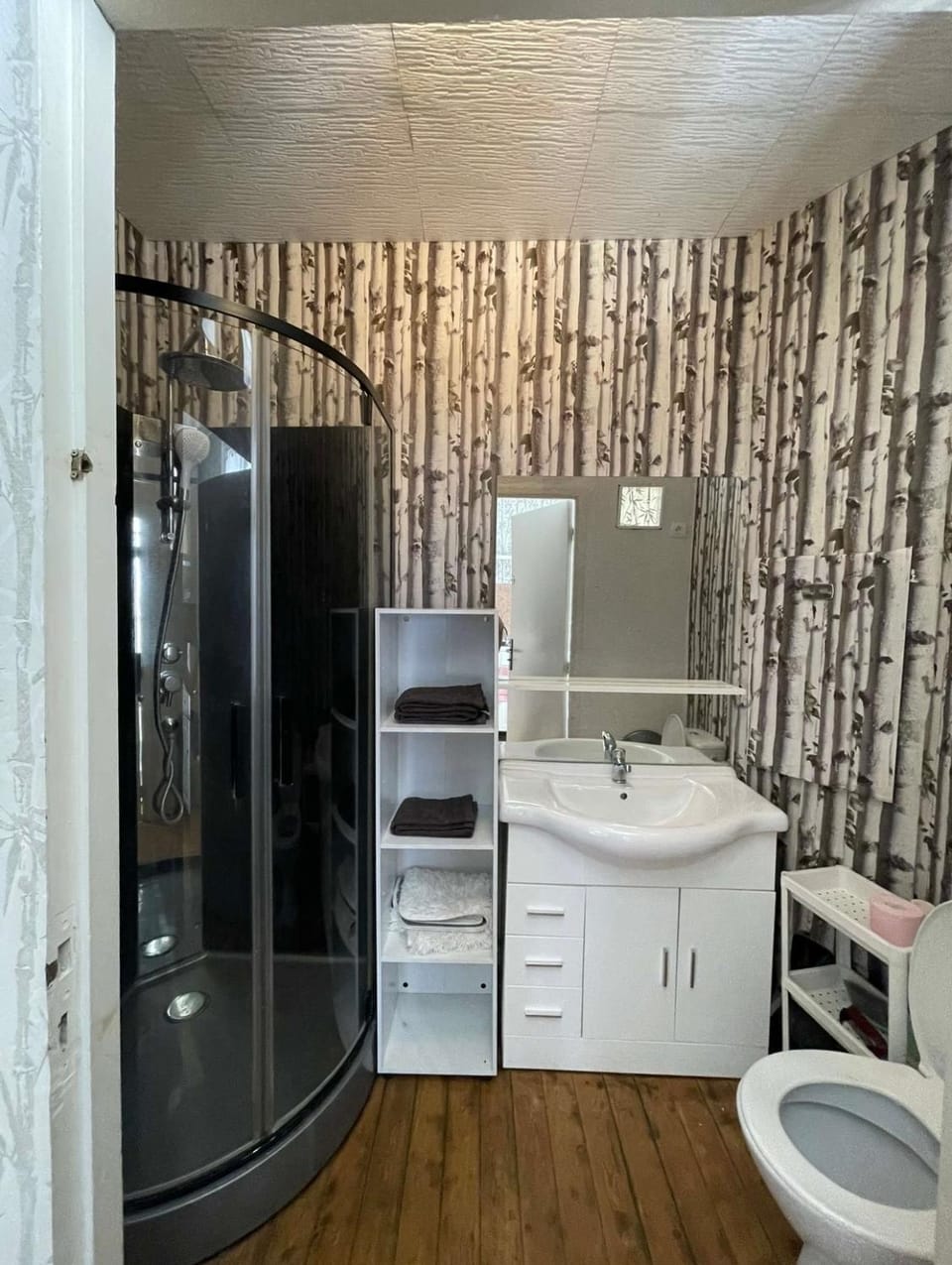 Shower, Toilet, Bathroom