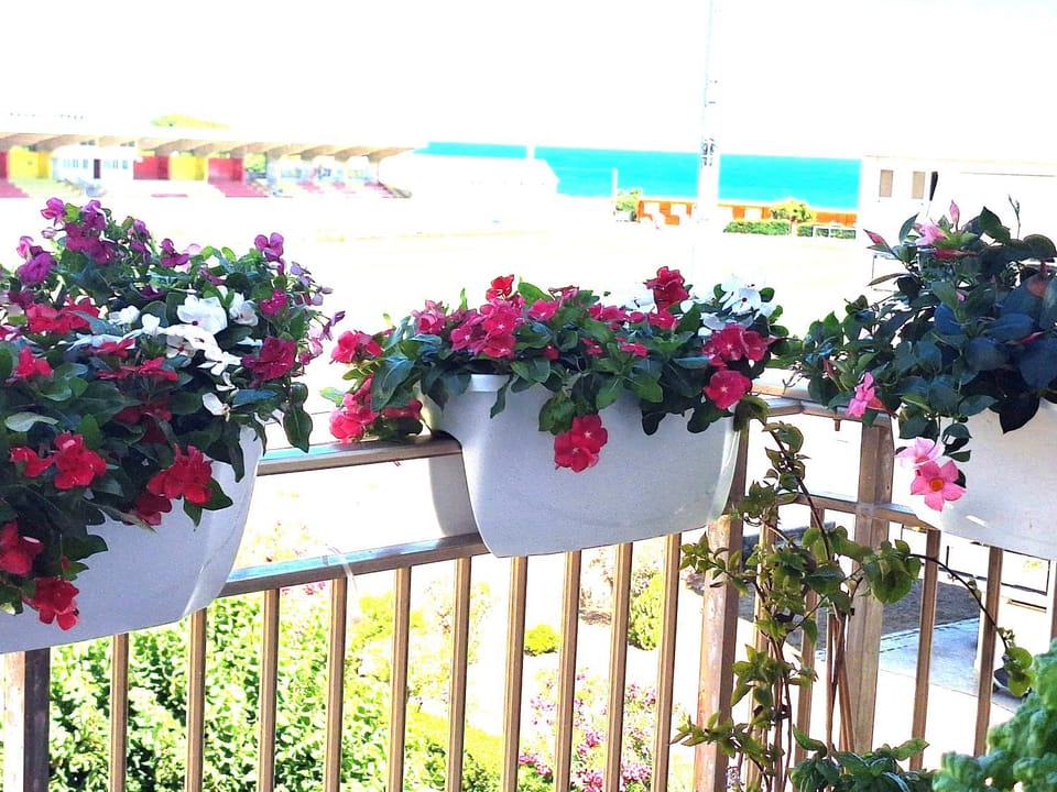 Balcony/Terrace, Sea view, Street view, Quiet street view