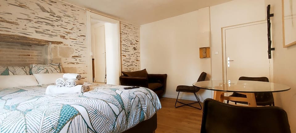 La Douce Angevine - La Perruche - Proche centre Apartment in Angers
