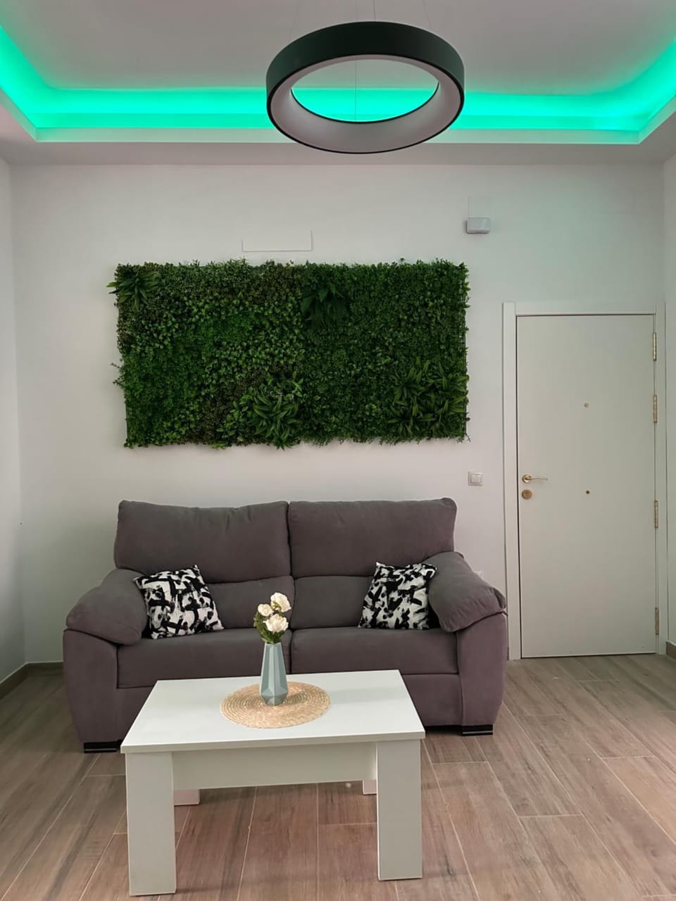 Sky Garden Málaga Centro Apartment in Malaga