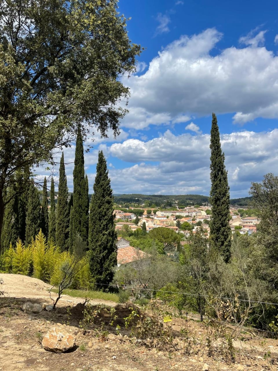 View (from property/room)