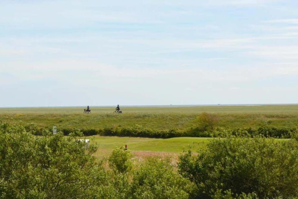 Natural landscape, View (from property/room)