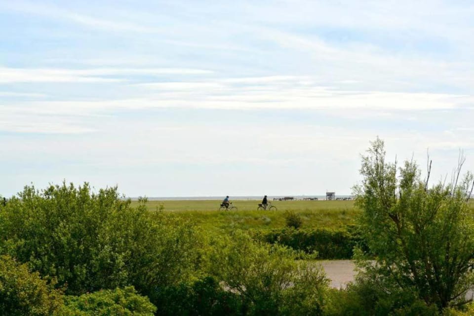 Natural landscape, View (from property/room), Sea view
