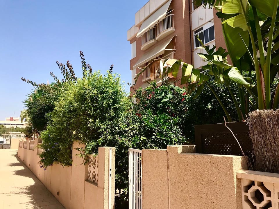 Property building, Spring, Garden, Garden view