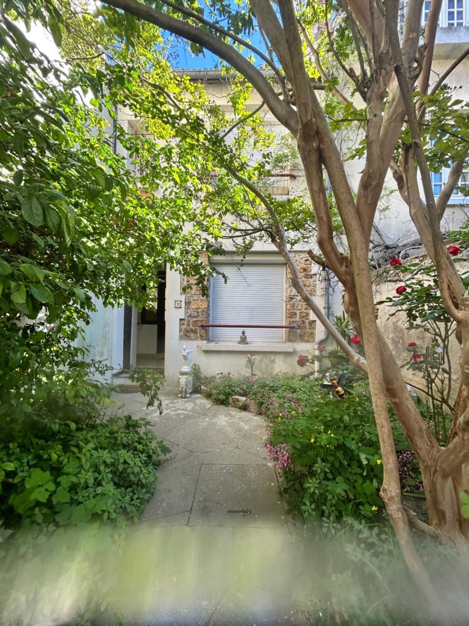 Property building, Spring, Day, Garden