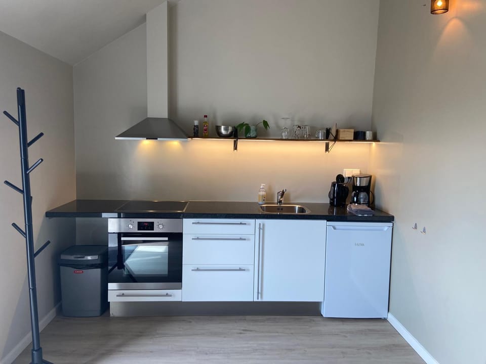 Coffee/tea facilities, Kitchen or kitchenette, oven, stove