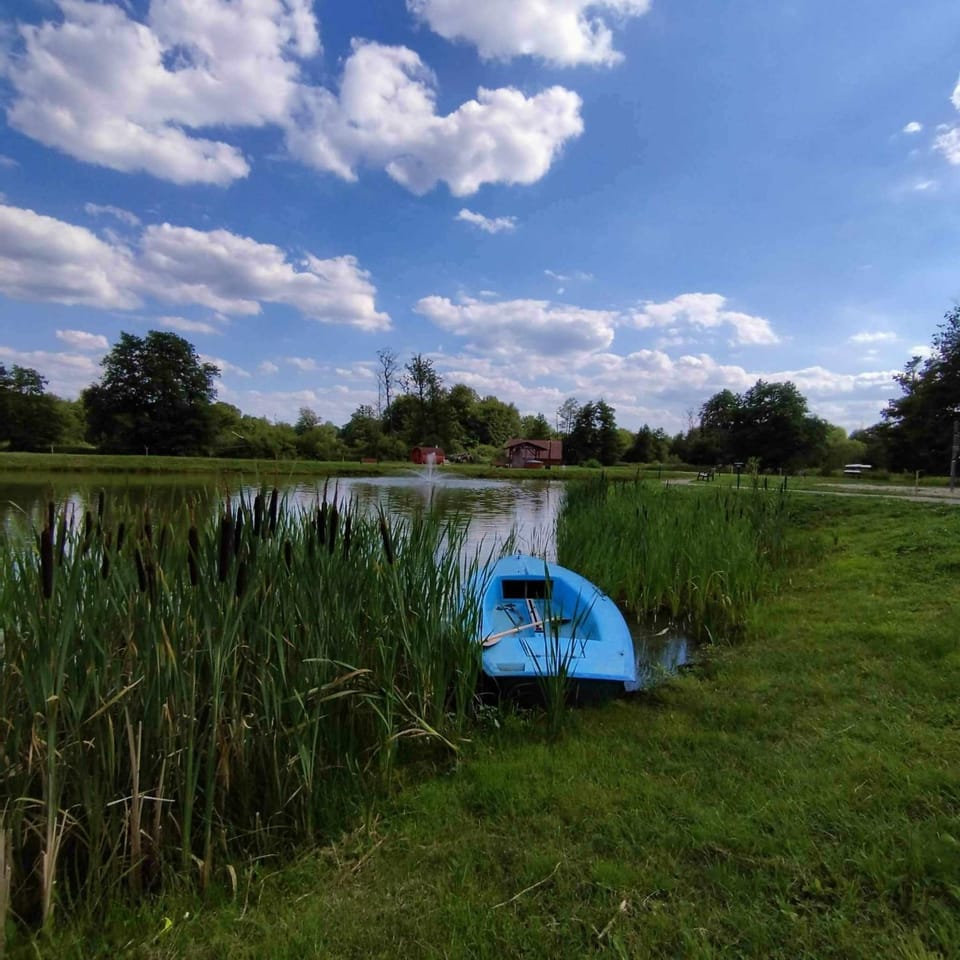 DOLINA NAD MOŁSTOWĄ Campground/ 
RV Resort in West Pomeranian Voivodeship, Poland