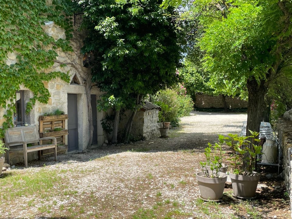 Garden view
