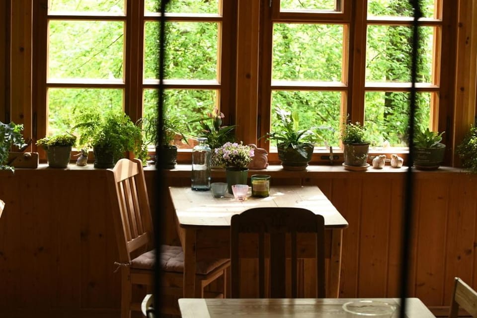 Dining area, Garden view