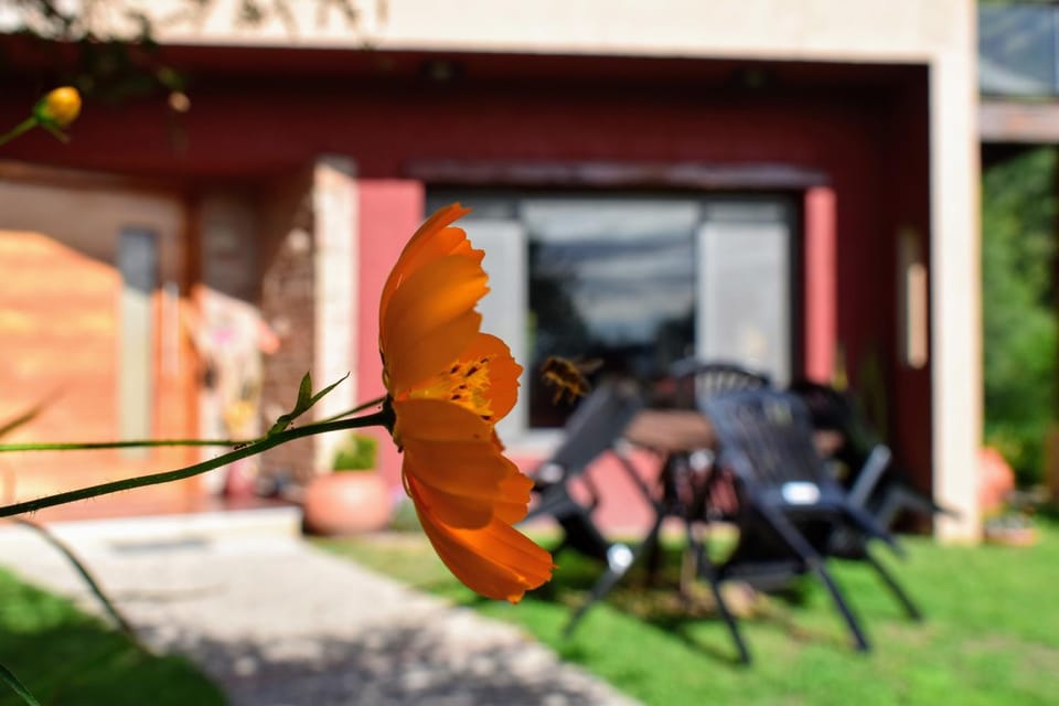 Lobby or reception, Garden view