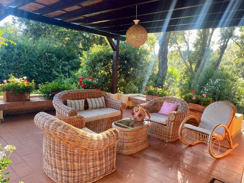 Patio, Garden, Living room