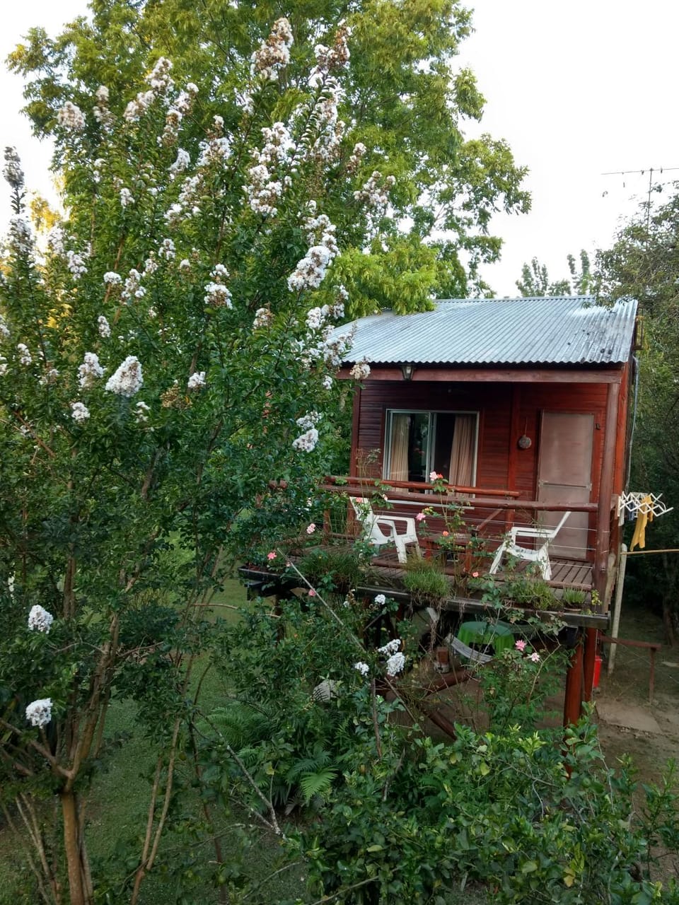 Garden, Garden view