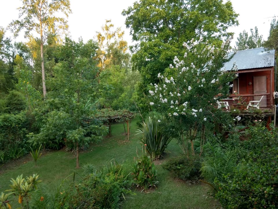 Natural landscape, Garden, Garden view
