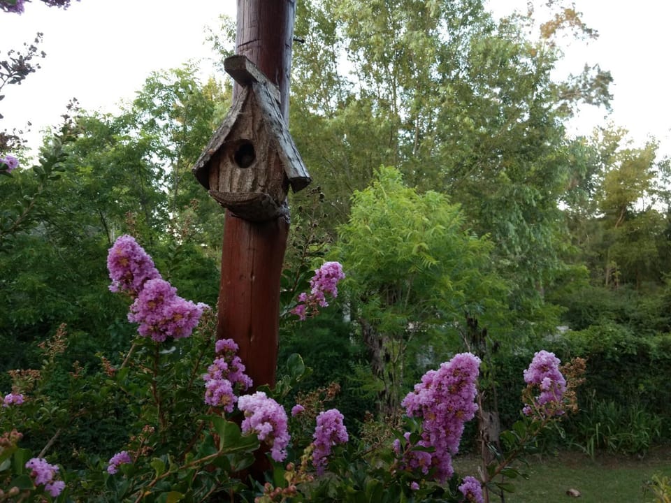 Natural landscape, Garden, Garden view