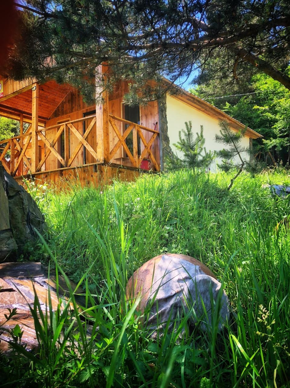 Natural landscape, Garden view
