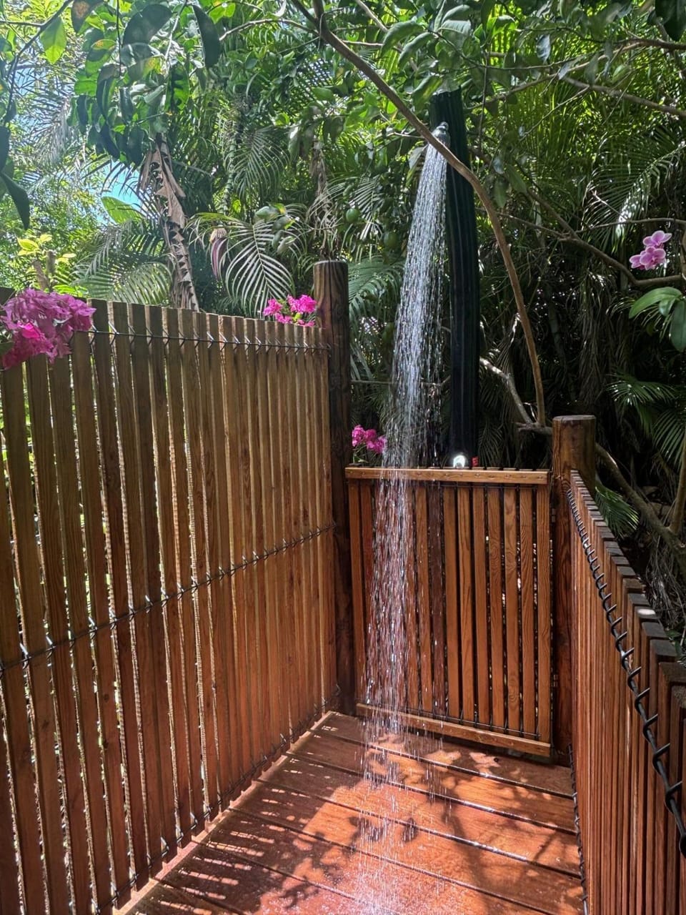 Shower
