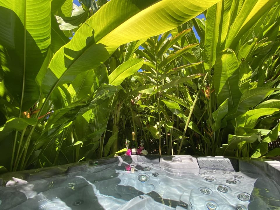 Spa and wellness centre/facilities, Swimming pool