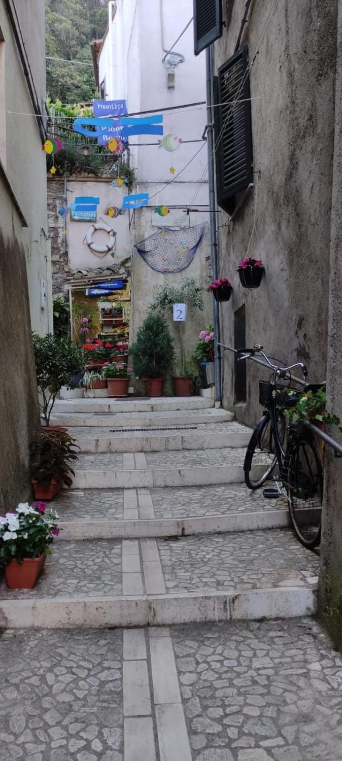 Neighbourhood