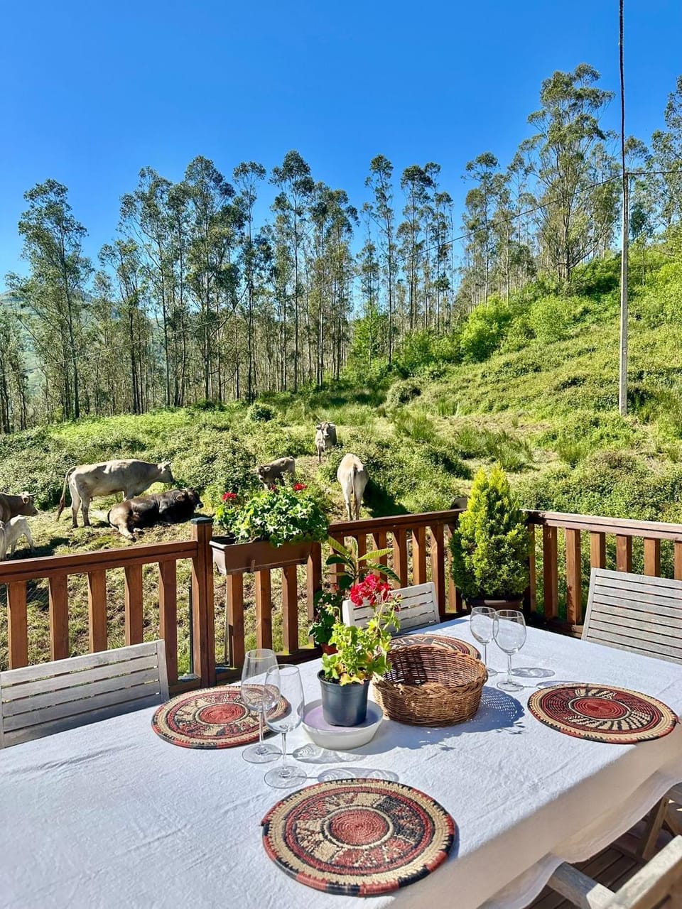 Spring, Day, Dining area, Garden view