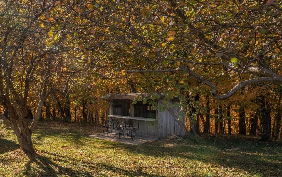 Lounge or bar, Garden view