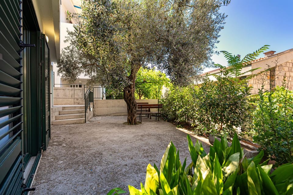 Property building, Garden, Garden view