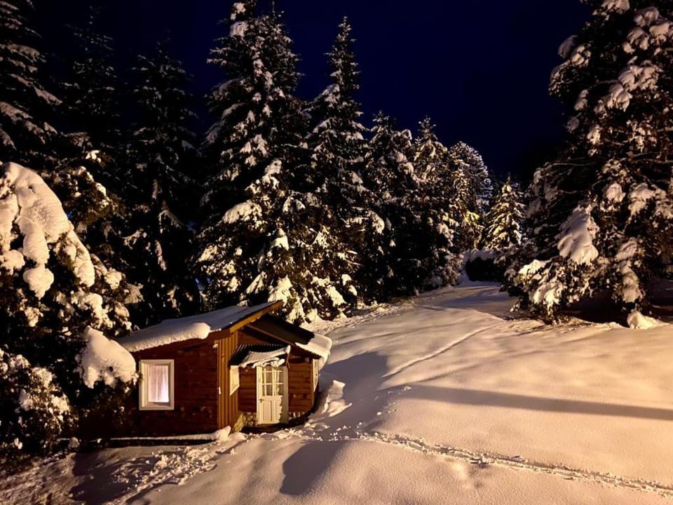 Property building, Night, Natural landscape, Winter