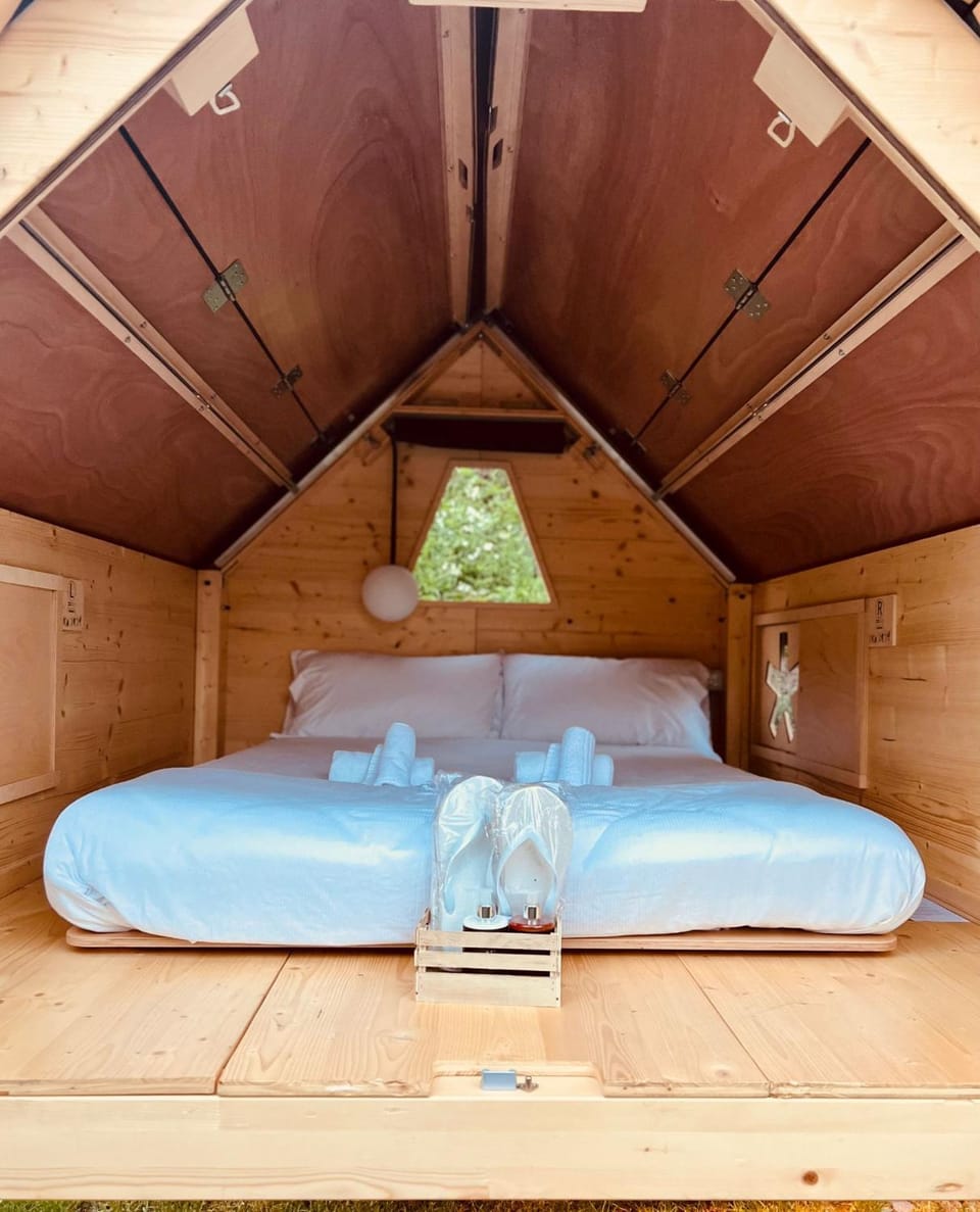 Bed, Natural landscape, Photo of the whole room, Bedroom, towels
