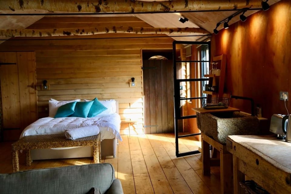 Bed, Kitchen or kitchenette, Living room