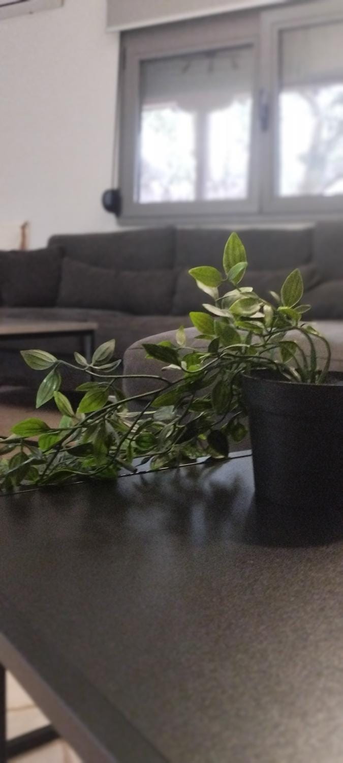 Bills house House in Evros, Greece